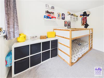 Picture 14